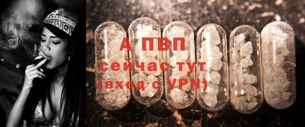 2c-b Богородицк